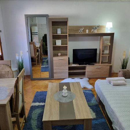 Family Apartmani Le Leskovac  Room photo