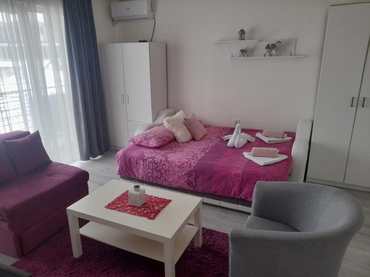 Family Apartmani Le Leskovac  Exterior photo